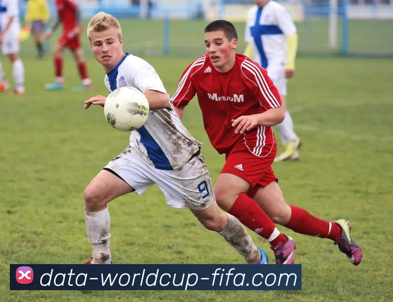 玩法全解析平台生态图