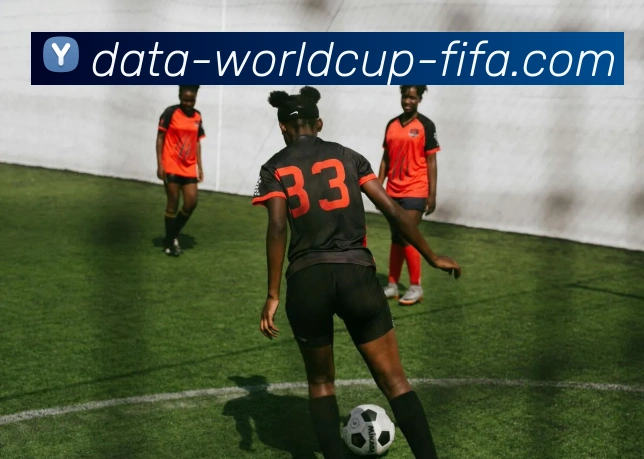 玩法全解析APP 封面图